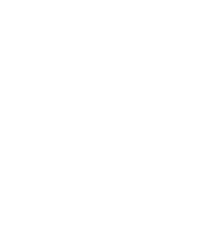 Salutis